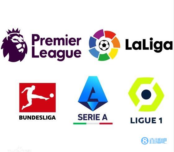 不仅用他的 不仅用他的