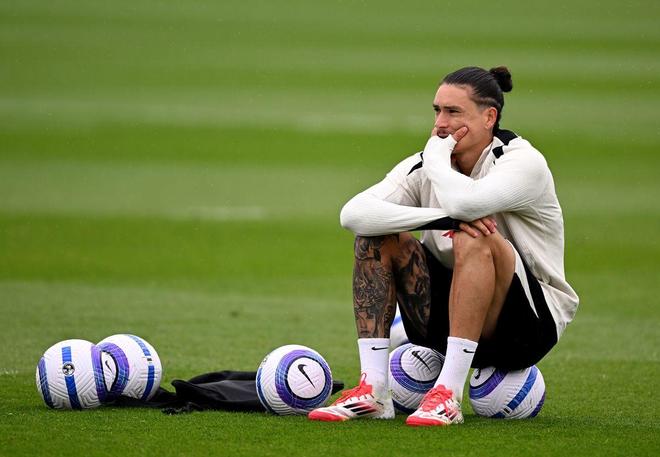 他们可能面 他们可能面